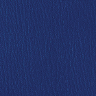 Vinyl - Blue Jay